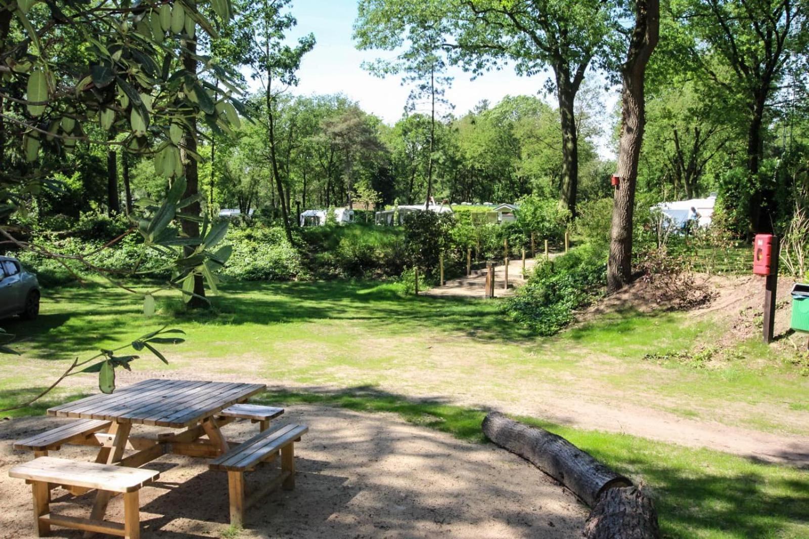 Wood Cabin 4 Personen Baarle-Nassau Eksteriør bilde
